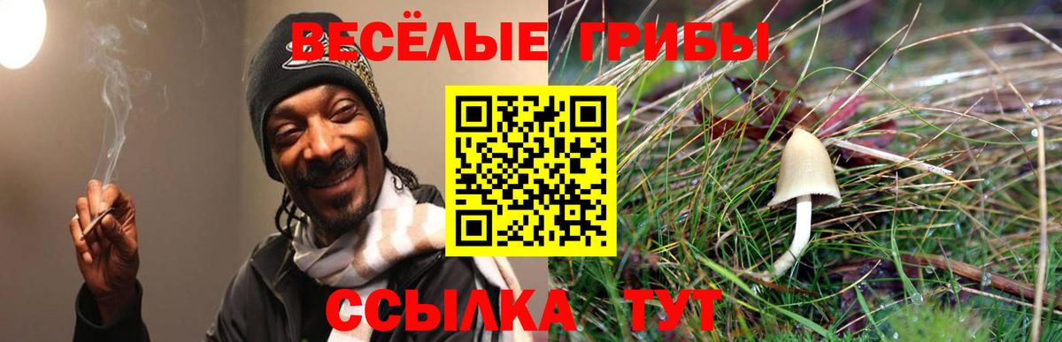 Александров  Галлюциногенные грибы Cubensis  Вход с VPN 